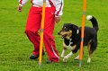 2013-05-19 um 10-23-21